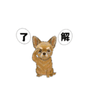 アクションk-gigi28（個別スタンプ：2）