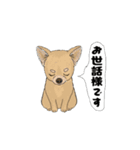 アクションk-gigi28（個別スタンプ：4）