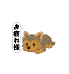 アクションk-gigi28（個別スタンプ：5）