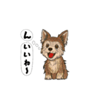 アクションk-gigi28（個別スタンプ：6）