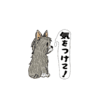 アクションk-gigi28（個別スタンプ：7）