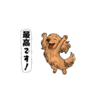 アクションk-gigi28（個別スタンプ：10）