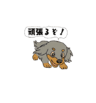 アクションk-gigi28（個別スタンプ：12）