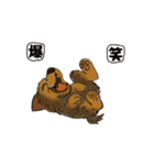 アクションk-gigi28（個別スタンプ：14）
