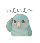 あるサザナミインコの日常（個別スタンプ：4）