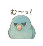 あるサザナミインコの日常（個別スタンプ：5）