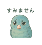 あるサザナミインコの日常（個別スタンプ：11）