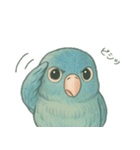 あるサザナミインコの日常（個別スタンプ：12）