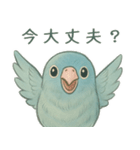 あるサザナミインコの日常（個別スタンプ：13）