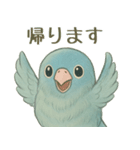 あるサザナミインコの日常（個別スタンプ：16）