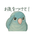 あるサザナミインコの日常（個別スタンプ：19）