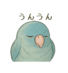 あるサザナミインコの日常（個別スタンプ：20）