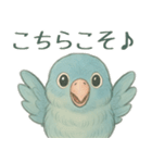 あるサザナミインコの日常（個別スタンプ：25）