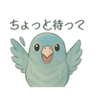 あるサザナミインコの日常（個別スタンプ：31）