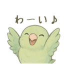 あるサザナミインコの日常（個別スタンプ：33）