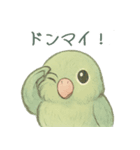 あるサザナミインコの日常（個別スタンプ：36）