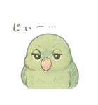 あるサザナミインコの日常（個別スタンプ：39）