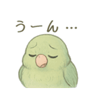 あるサザナミインコの日常（個別スタンプ：40）