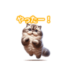とにかくかわいい セルカーク・レックス（個別スタンプ：26）