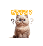 とにかくかわいい セルカーク・レックス（個別スタンプ：33）