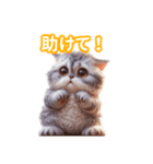 とにかくかわいい セルカーク・レックス（個別スタンプ：37）