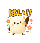 しまちゃんと一緒 改（個別スタンプ：1）