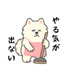 サモエド掃除中（個別スタンプ：7）