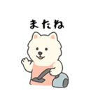 サモエド掃除中（個別スタンプ：9）