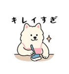 サモエド掃除中（個別スタンプ：14）