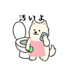 サモエド掃除中（個別スタンプ：19）