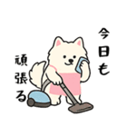 サモエド掃除中（個別スタンプ：20）