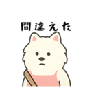 サモエド掃除中（個別スタンプ：27）