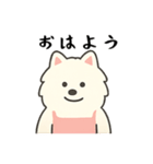 サモエド掃除中（個別スタンプ：29）