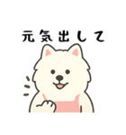 サモエド掃除中（個別スタンプ：30）