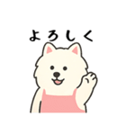 サモエド掃除中（個別スタンプ：31）
