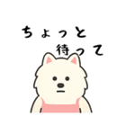 サモエド掃除中（個別スタンプ：32）