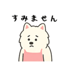 サモエド掃除中（個別スタンプ：34）