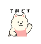 サモエド掃除中（個別スタンプ：38）