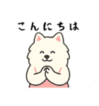 サモエド掃除中（個別スタンプ：39）