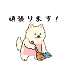 サモエド掃除中（個別スタンプ：40）