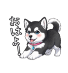 日常に溶け込むマラミュート(女の子)（個別スタンプ：1）
