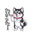 日常に溶け込むマラミュート(女の子)（個別スタンプ：3）