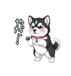 日常に溶け込むマラミュート(女の子)（個別スタンプ：4）