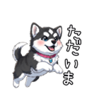 日常に溶け込むマラミュート(女の子)（個別スタンプ：10）