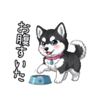 日常に溶け込むマラミュート(女の子)（個別スタンプ：11）
