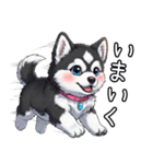 日常に溶け込むマラミュート(女の子)（個別スタンプ：14）