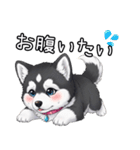 日常に溶け込むマラミュート(女の子)（個別スタンプ：29）