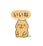 毎日使える ぬりカピのゆるふでスタンプ（個別スタンプ：8）