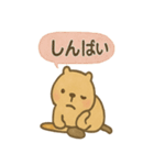 毎日使える ぬりカピのゆるふでスタンプ（個別スタンプ：14）