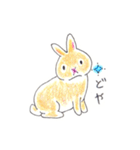 うさぎの菫ちゃん2（個別スタンプ：3）